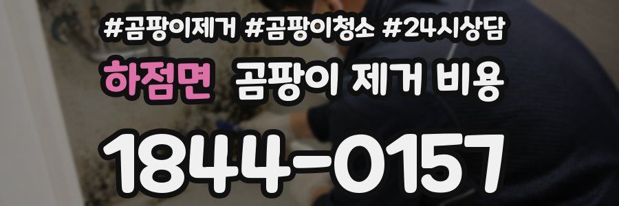 하점면 곰팡이 제거 비용