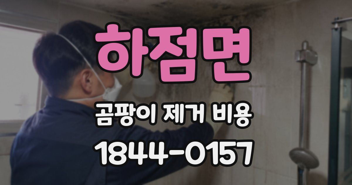 하점면 곰팡이 제거 비용