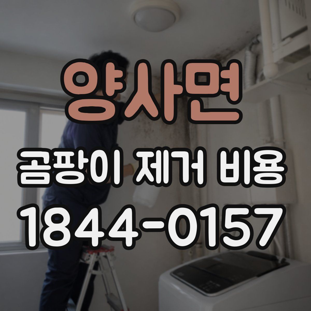 양사면 곰팡이 제거 비용