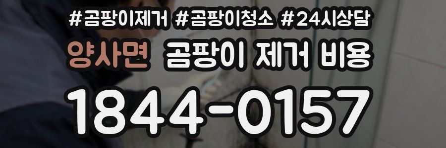양사면 곰팡이 제거 비용