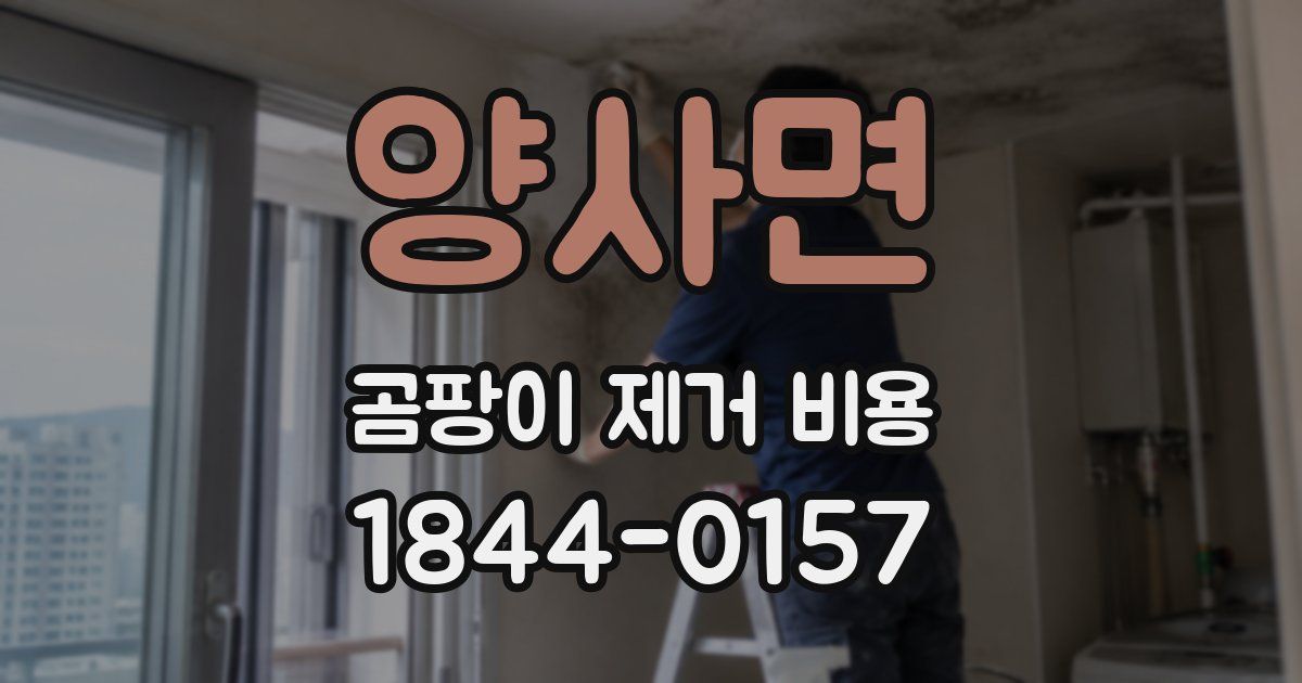 양사면 곰팡이 제거 비용