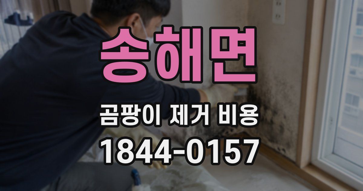 송해면 곰팡이 제거 비용