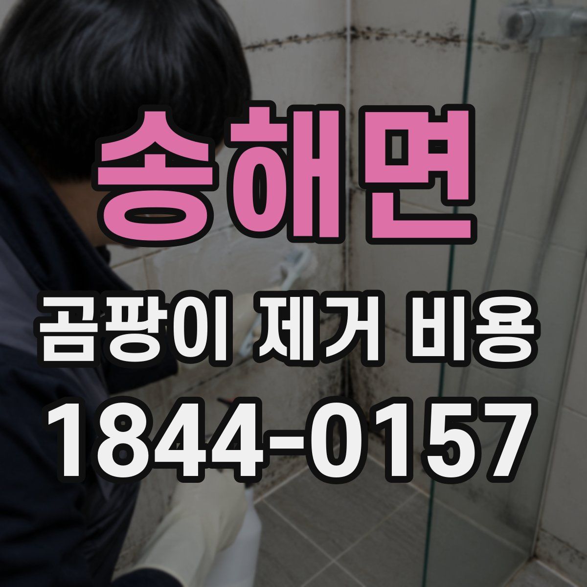 송해면 곰팡이 제거 비용