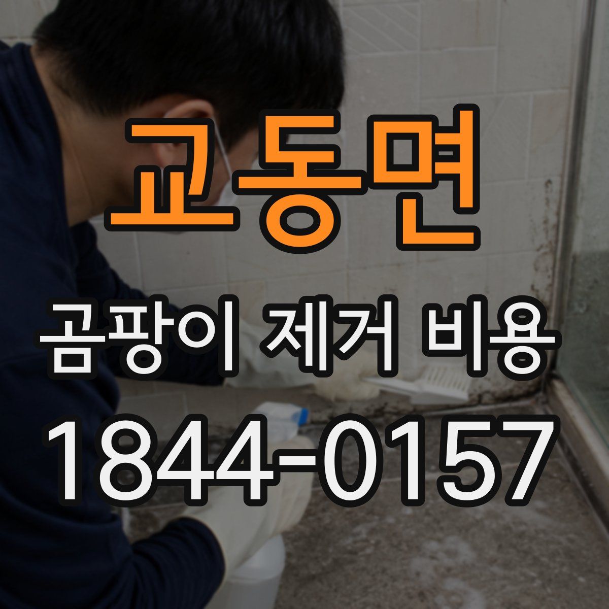 교동면 곰팡이 제거 비용