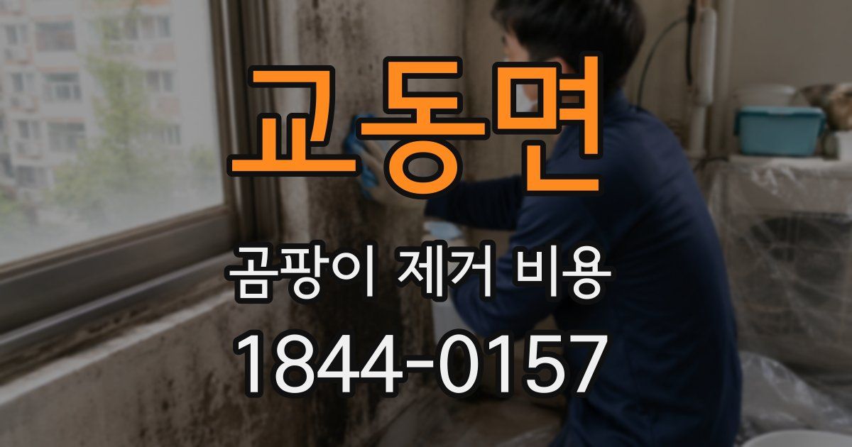 교동면 곰팡이 제거 비용