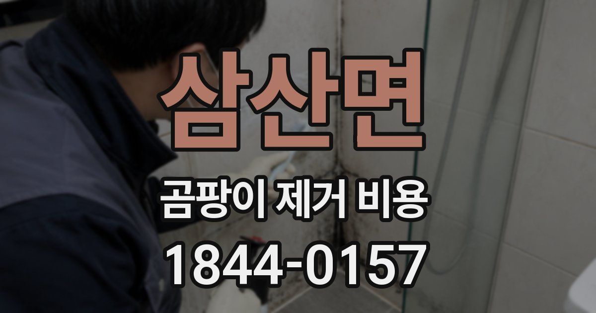삼산면 곰팡이 제거 비용