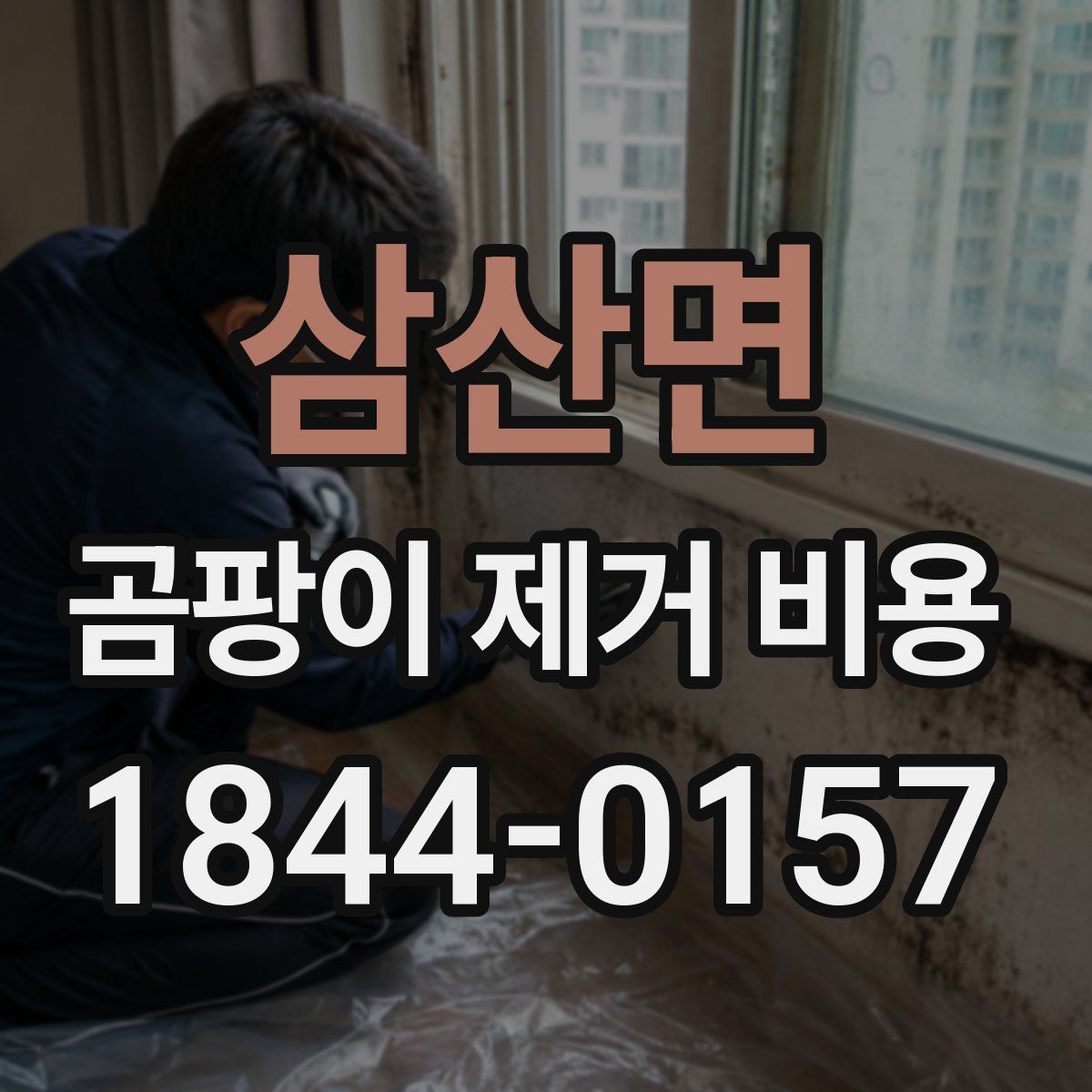 삼산면 곰팡이 제거 비용