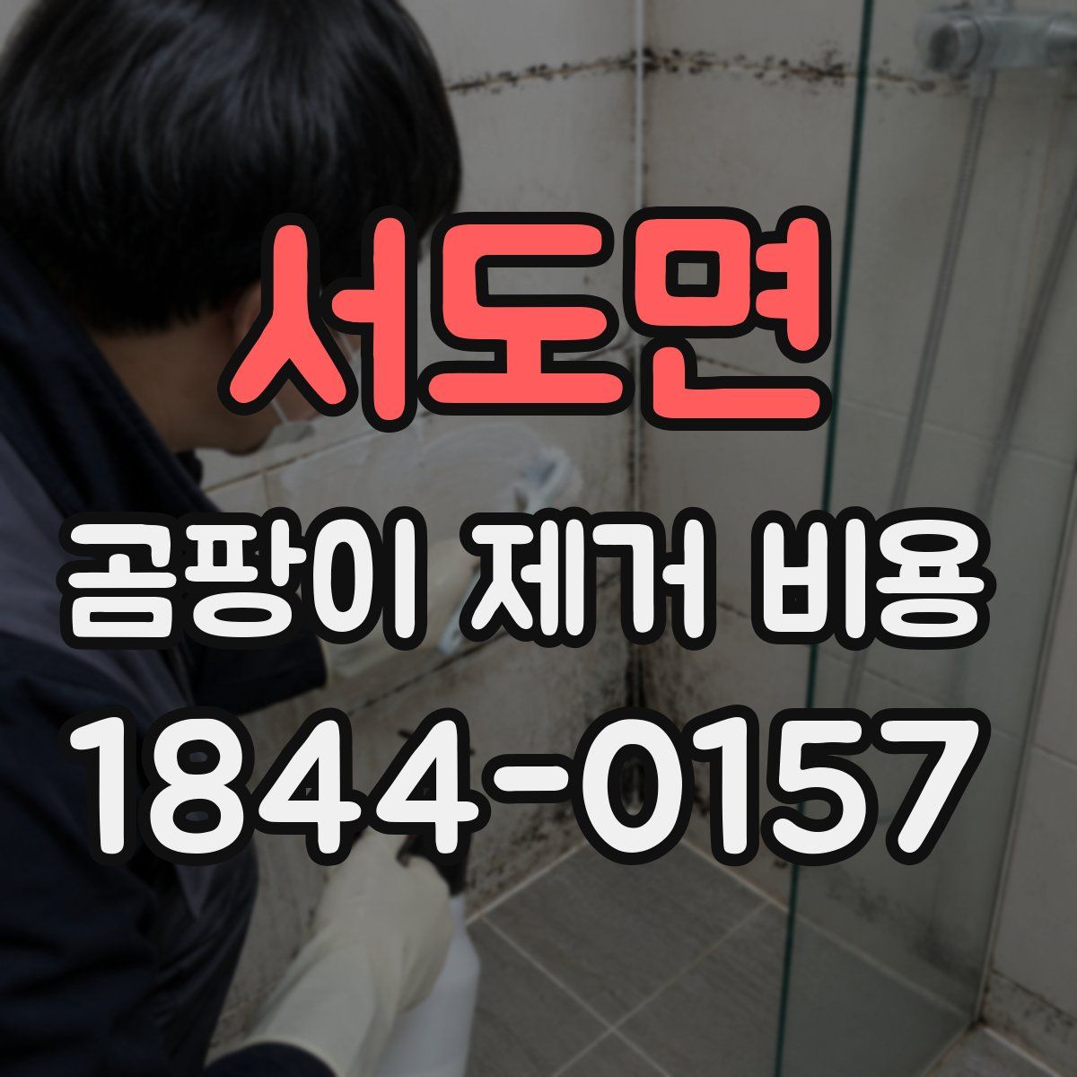 서도면 곰팡이 제거 비용