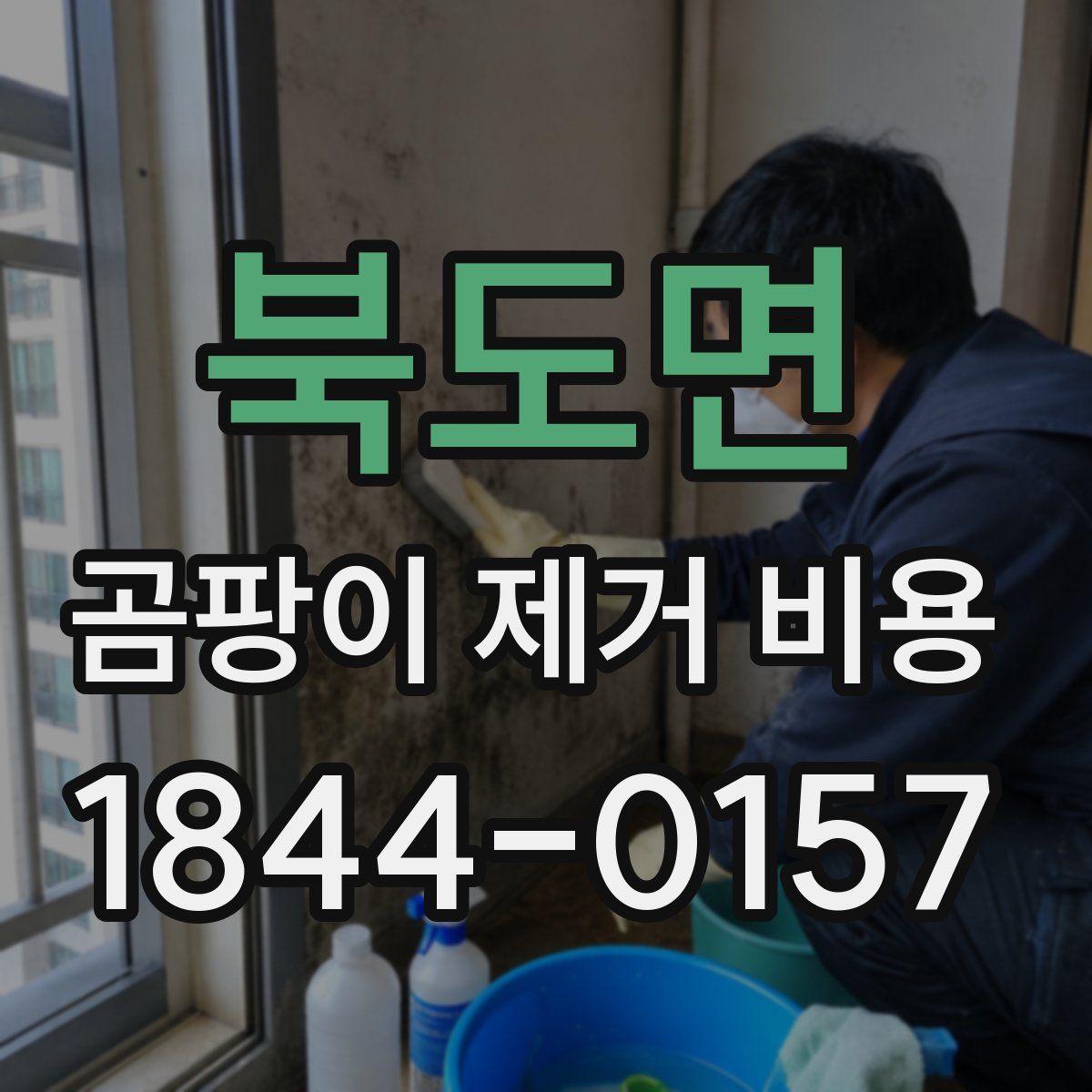북도면 곰팡이 제거 비용