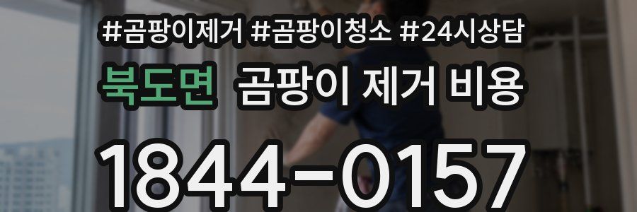 북도면 곰팡이 제거 비용