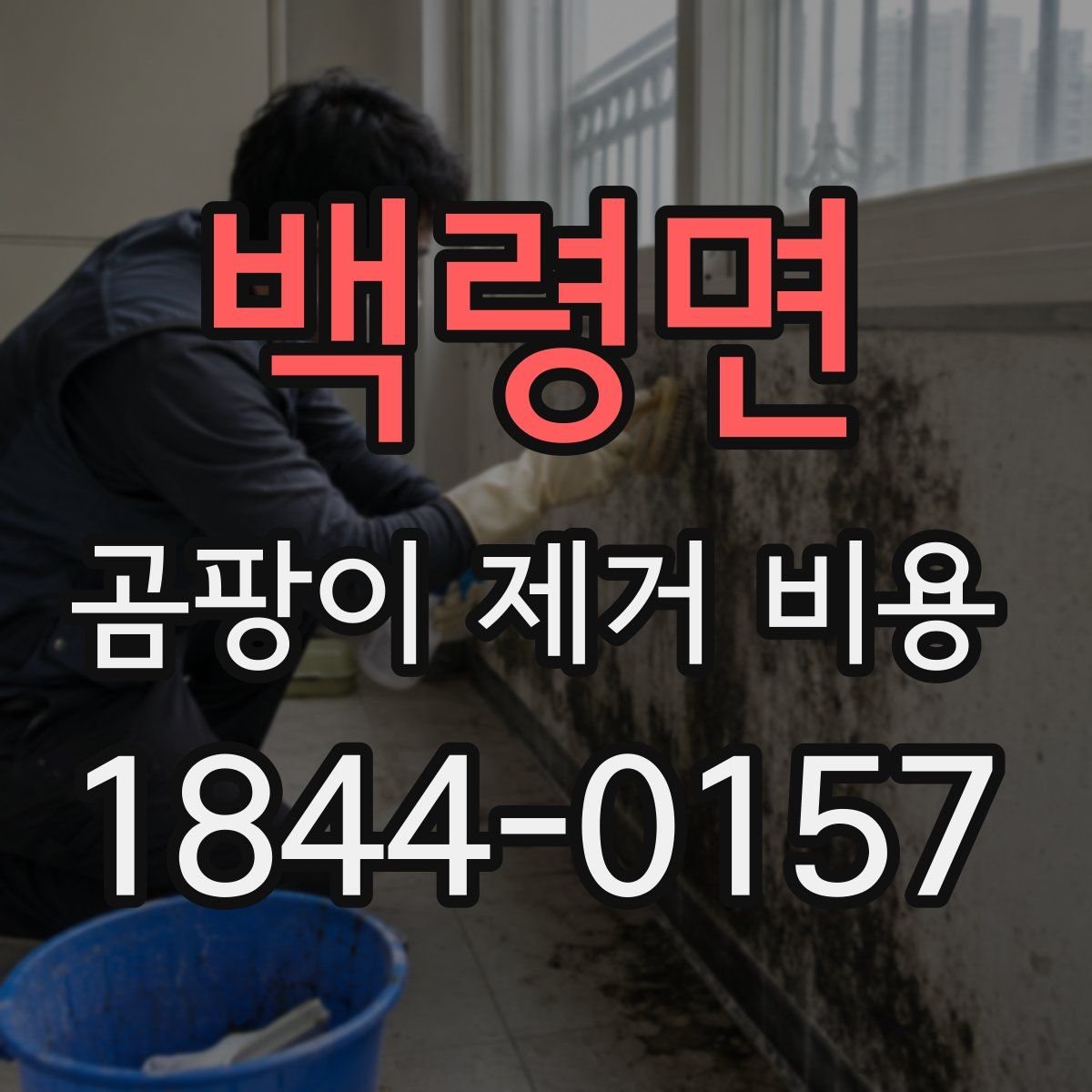 백령면 곰팡이 제거 비용