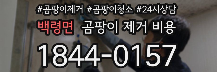 백령면 곰팡이 제거 비용