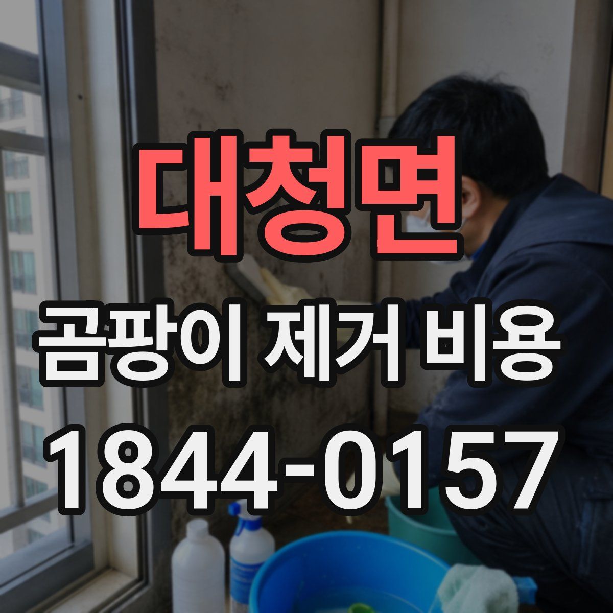 대청면 곰팡이 제거 비용