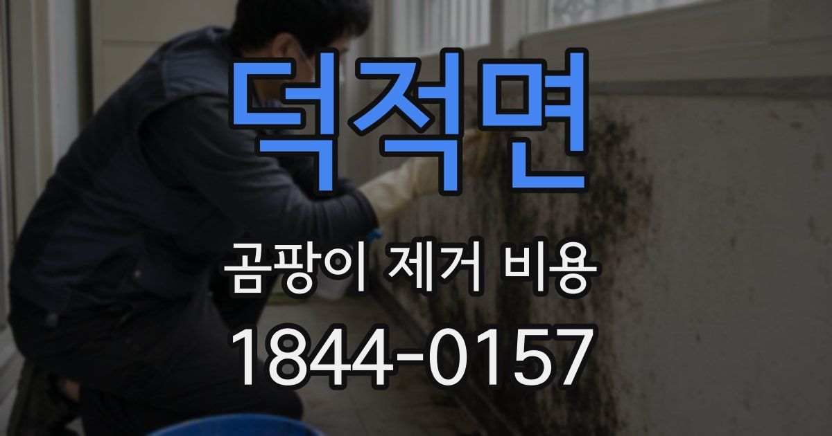 덕적면 곰팡이 제거 비용