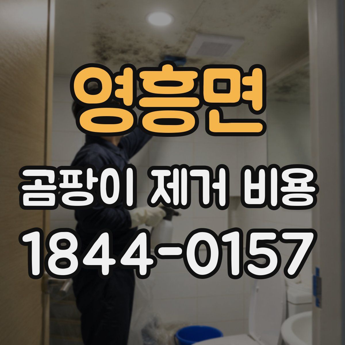 영흥면 곰팡이 제거 비용