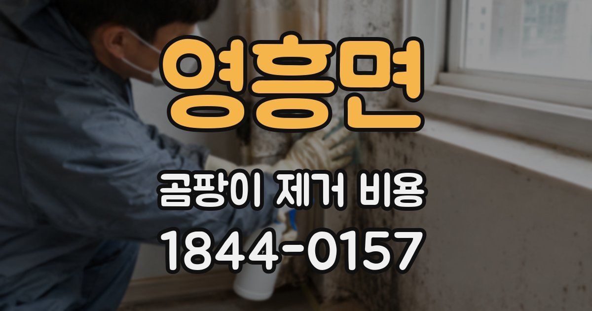 영흥면 곰팡이 제거 비용