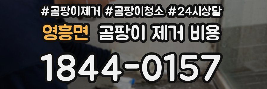 영흥면 곰팡이 제거 비용