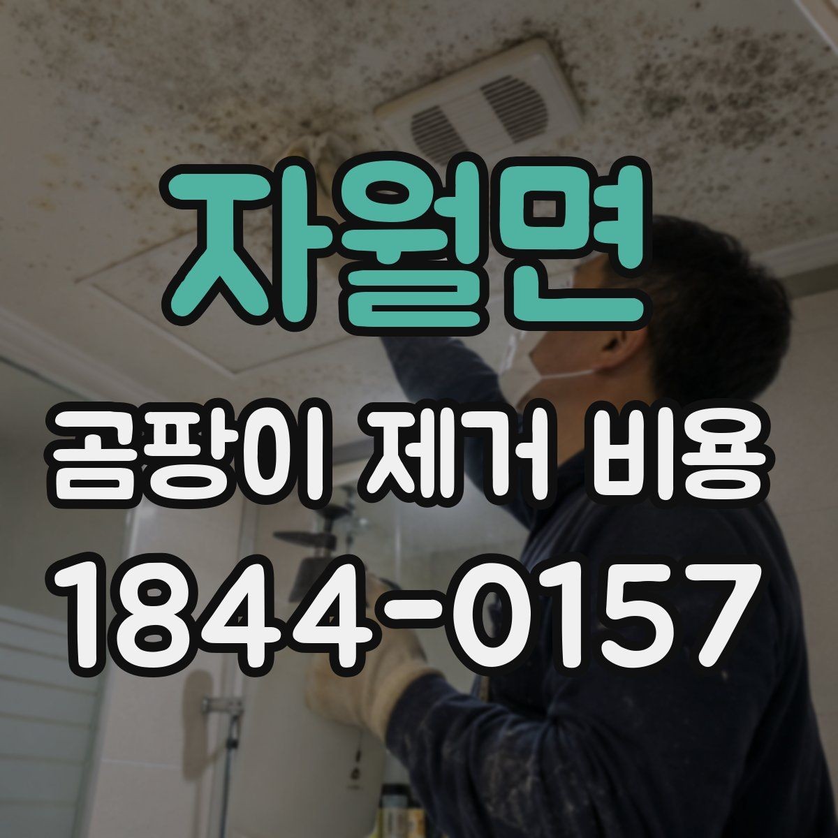 자월면 곰팡이 제거 비용 방수 보수와 청소를 나눠 보는 견적 차이