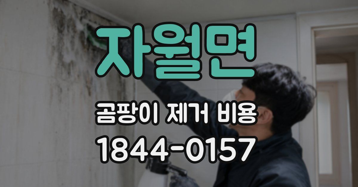 자월면 곰팡이 제거 비용
