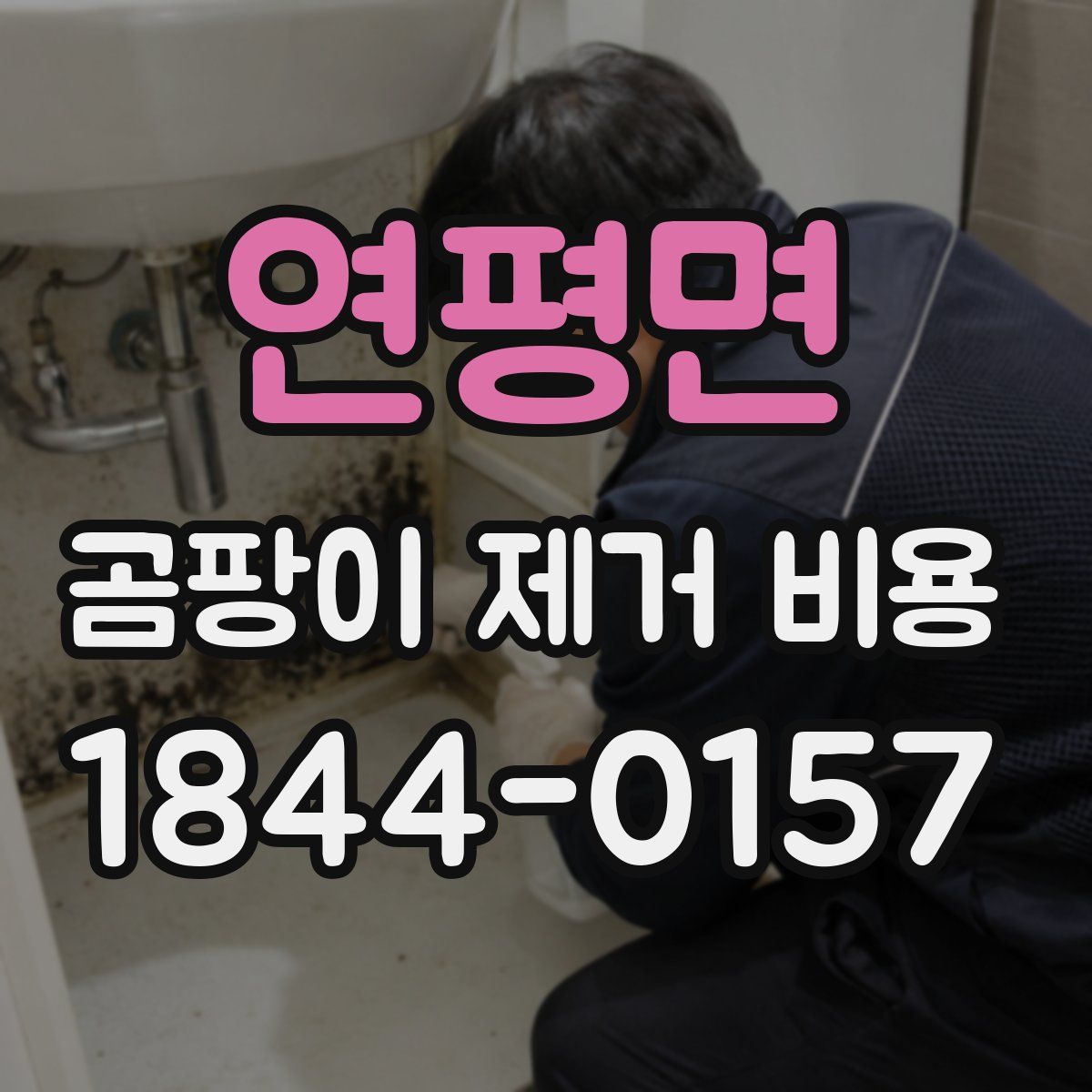 연평면 곰팡이 제거 비용