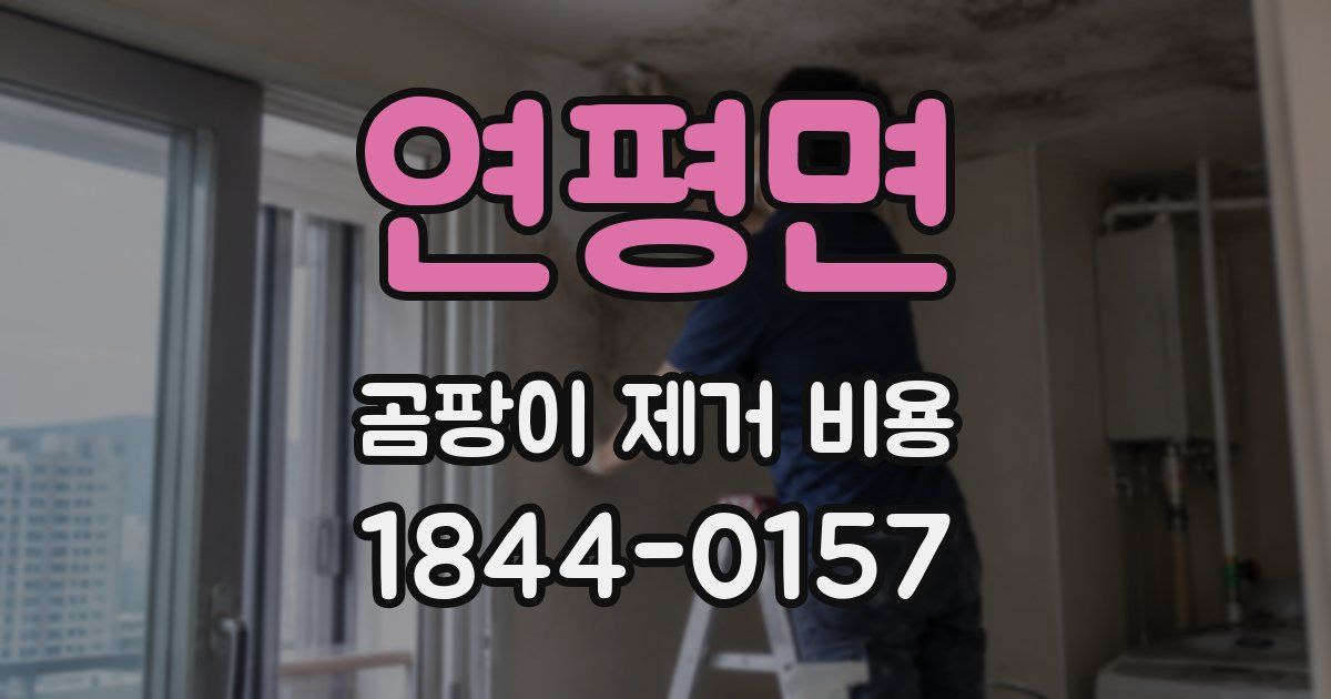 연평면 곰팡이 제거 비용