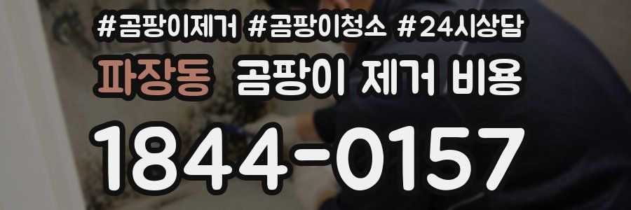 파장동 곰팡이 제거 비용