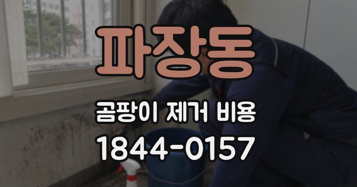파장동 곰팡이 제거 비용