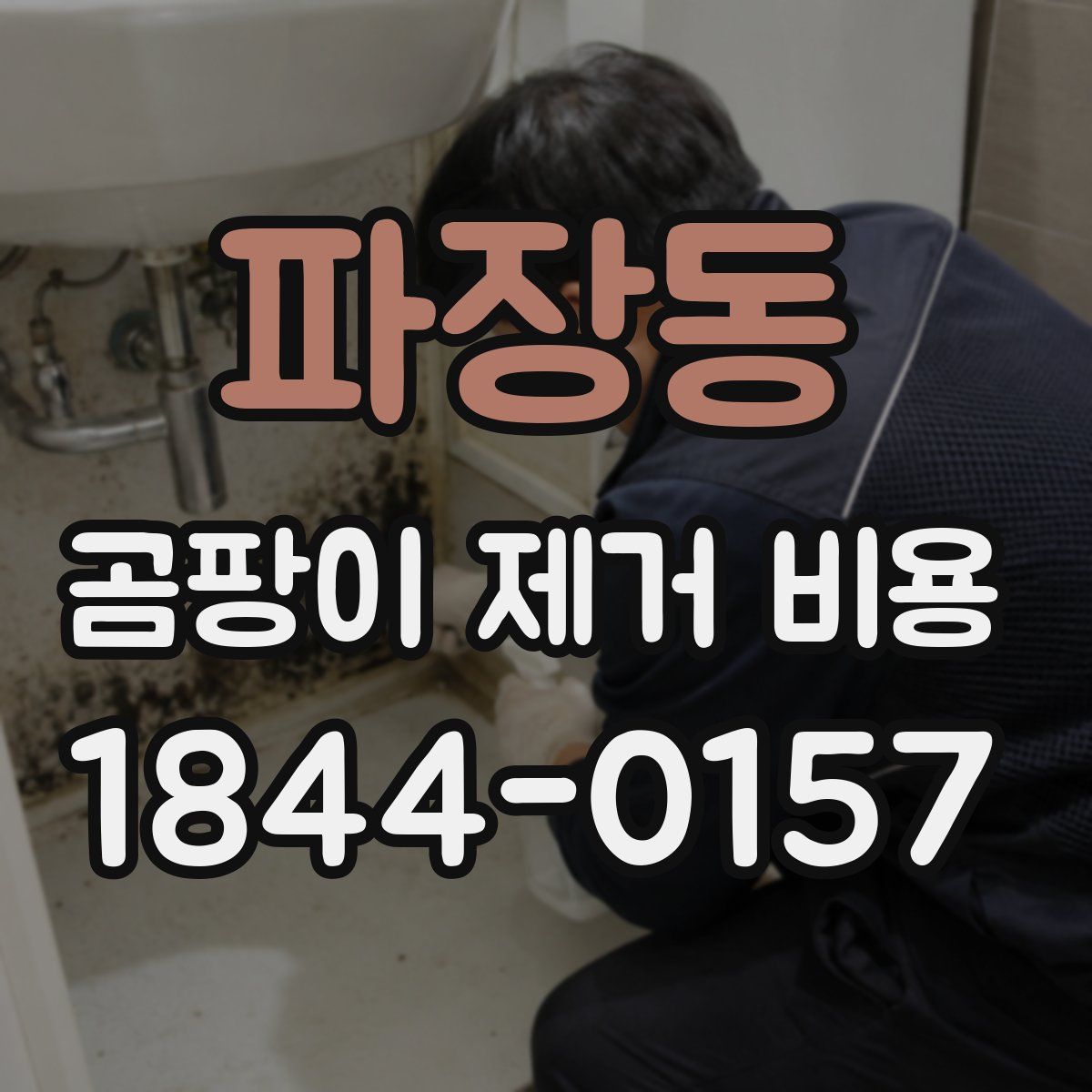 파장동 곰팡이 제거 비용