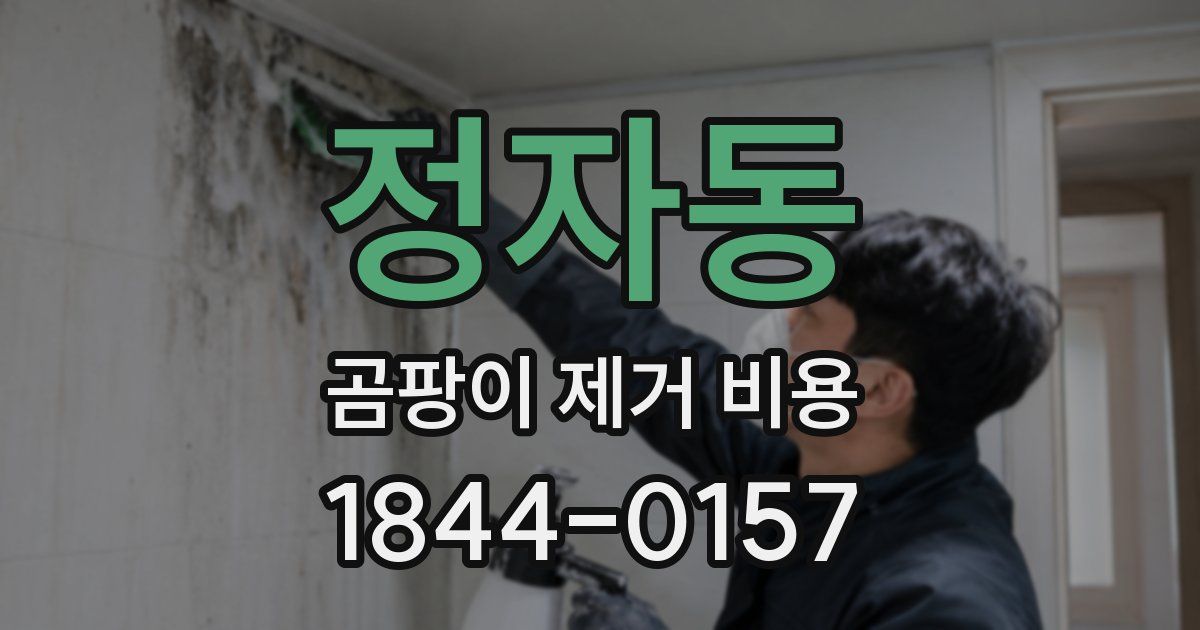 정자동 곰팡이 제거 비용