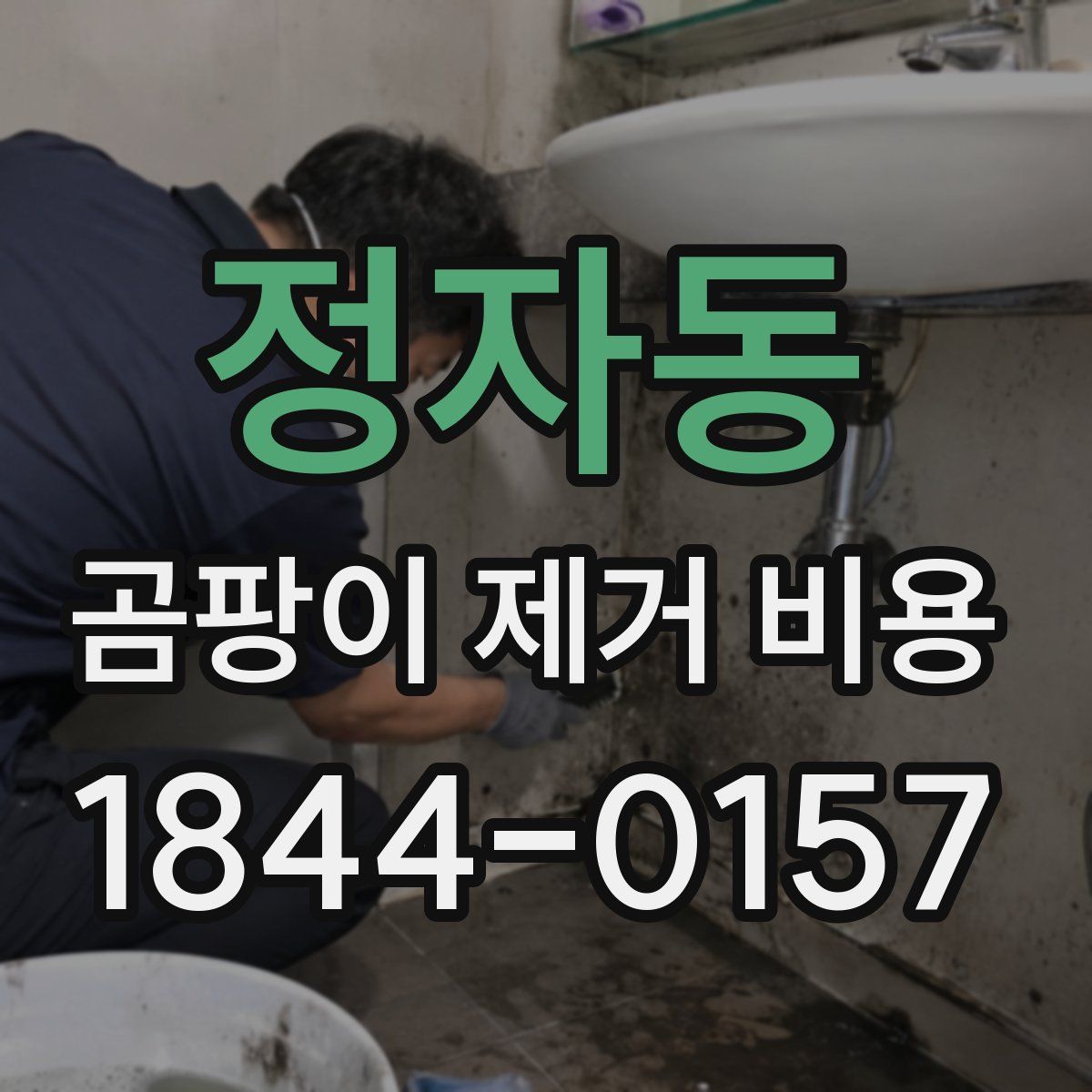 정자동 곰팡이 제거 비용