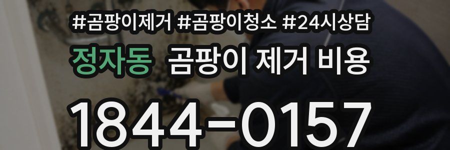 정자동 곰팡이 제거 비용
