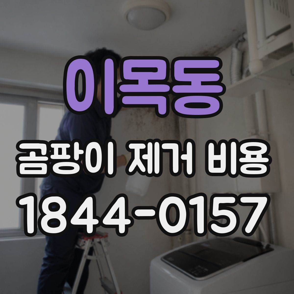 이목동 곰팡이 제거 비용
