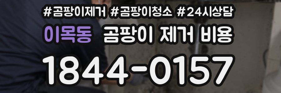 이목동 곰팡이 제거 비용
