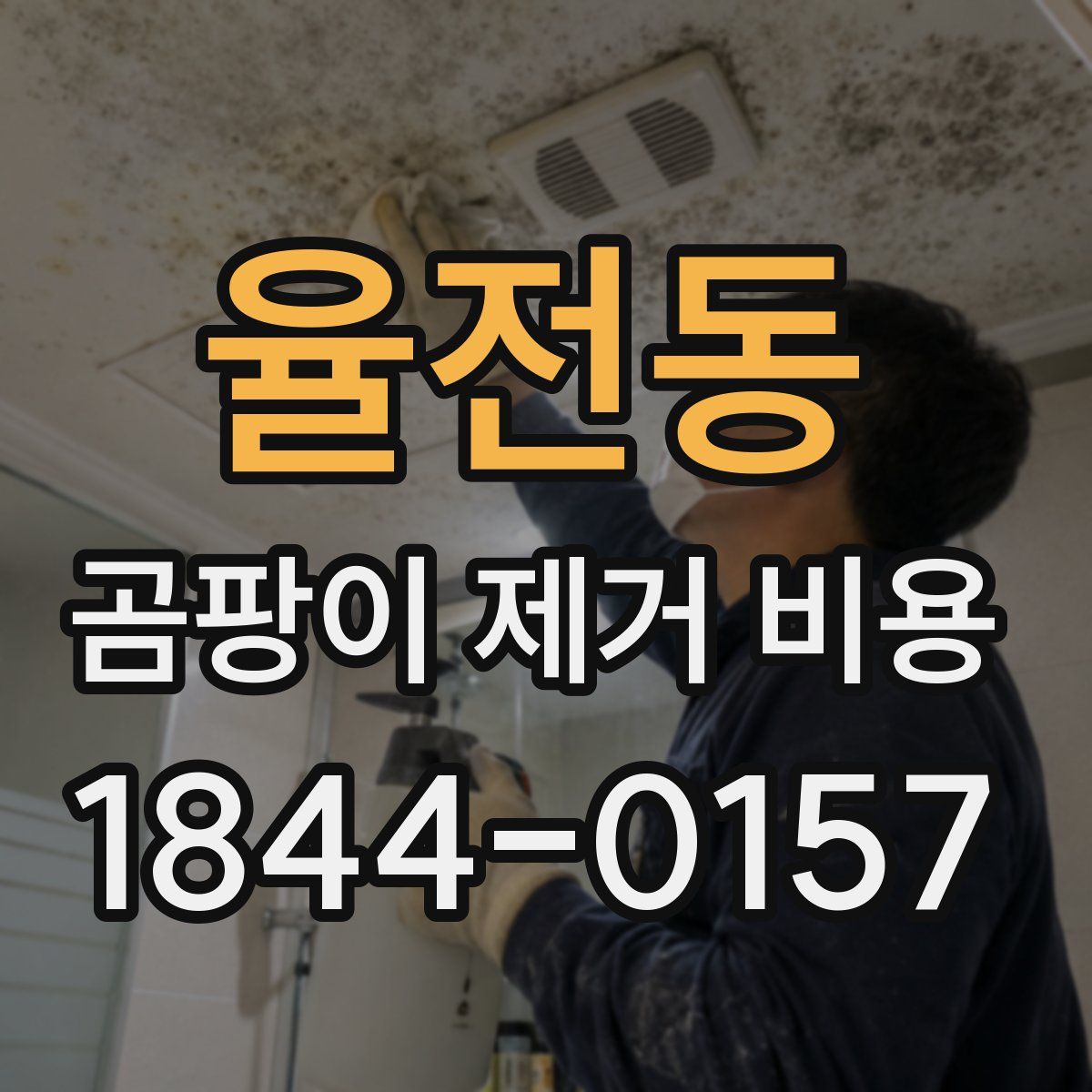 율전동 곰팡이 제거 비용