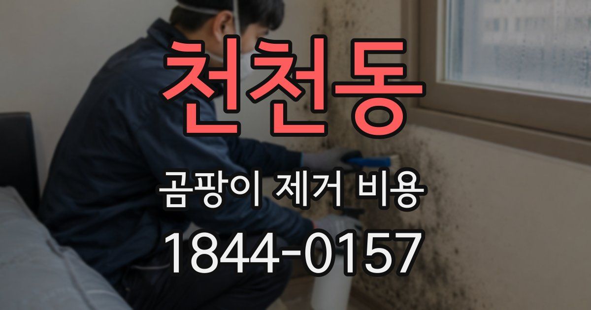 천천동 곰팡이 제거 비용