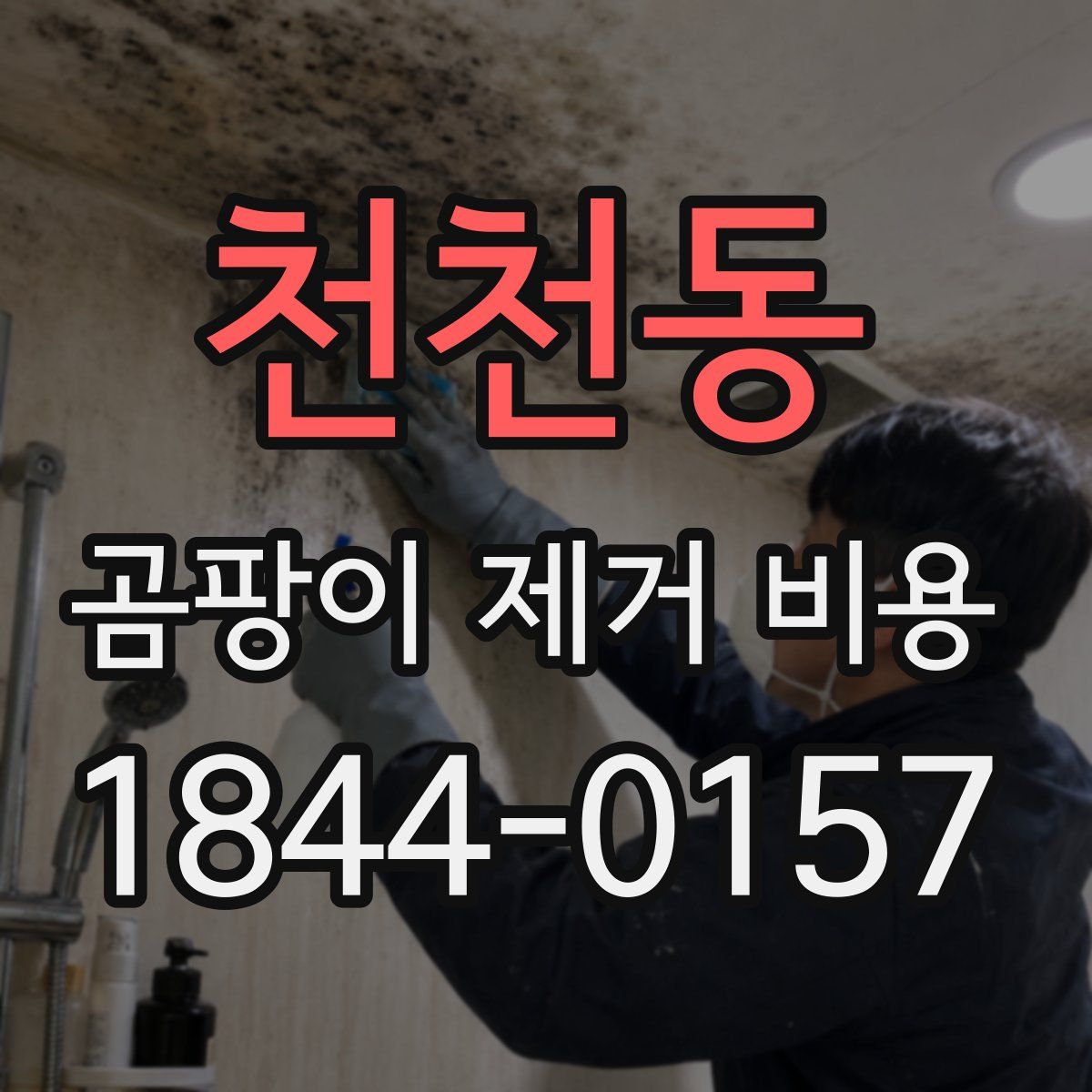 천천동 곰팡이 제거 비용