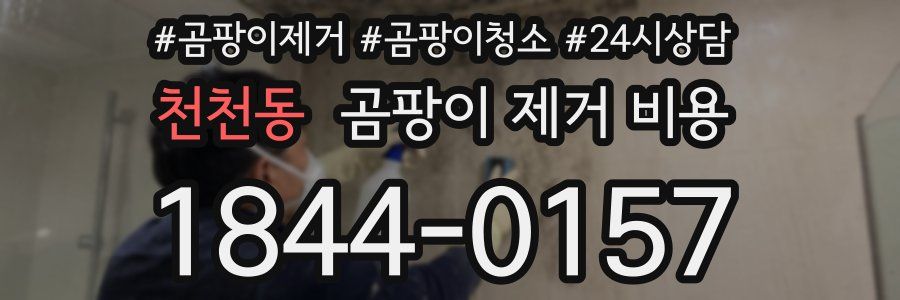천천동 곰팡이 제거 비용