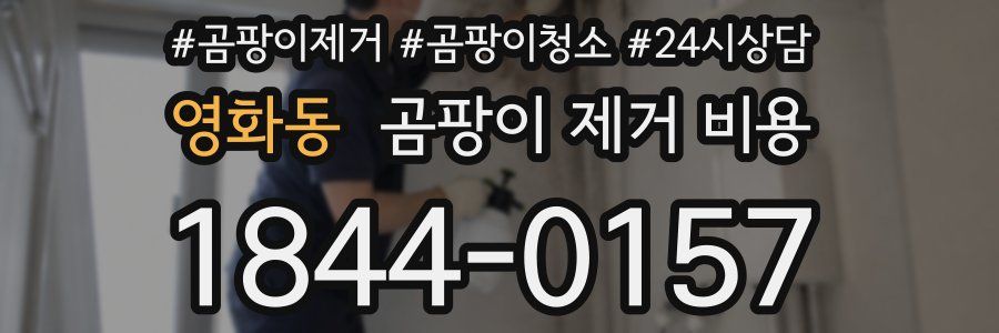 영화동 곰팡이 제거 비용
