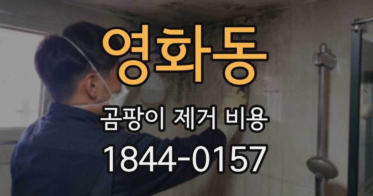 영화동 곰팡이 제거 비용
