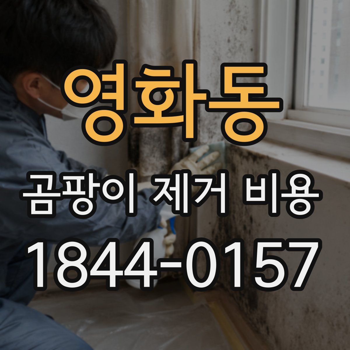 영화동 곰팡이 제거 비용