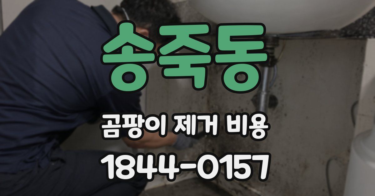 송죽동 곰팡이 제거 비용