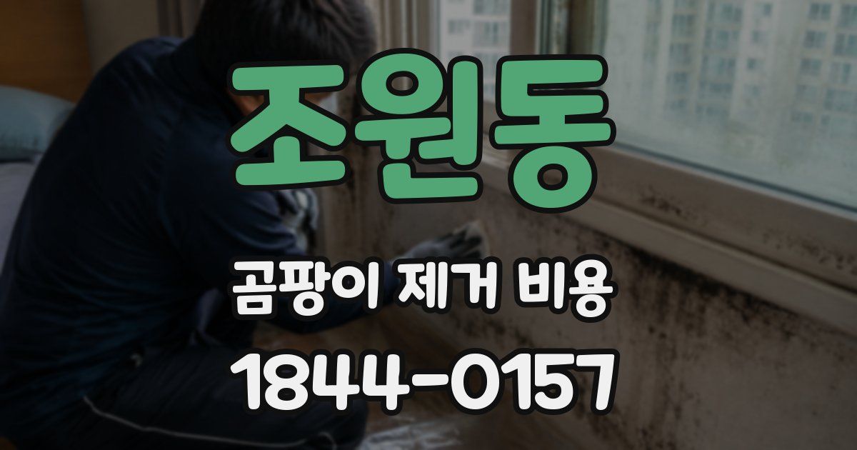 조원동 곰팡이 제거 비용