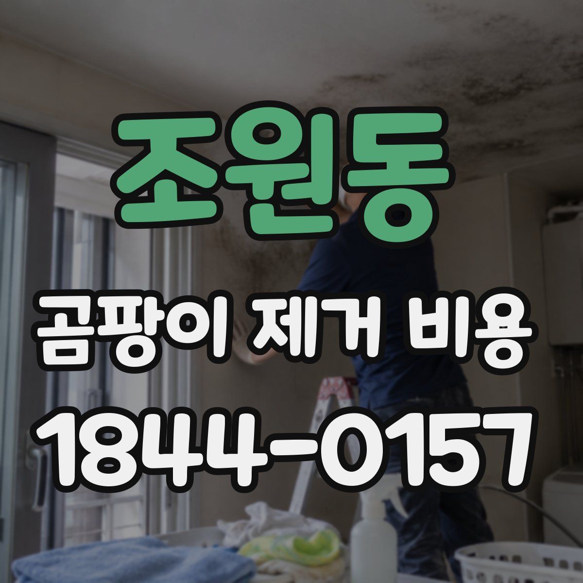 조원동 곰팡이 제거 비용