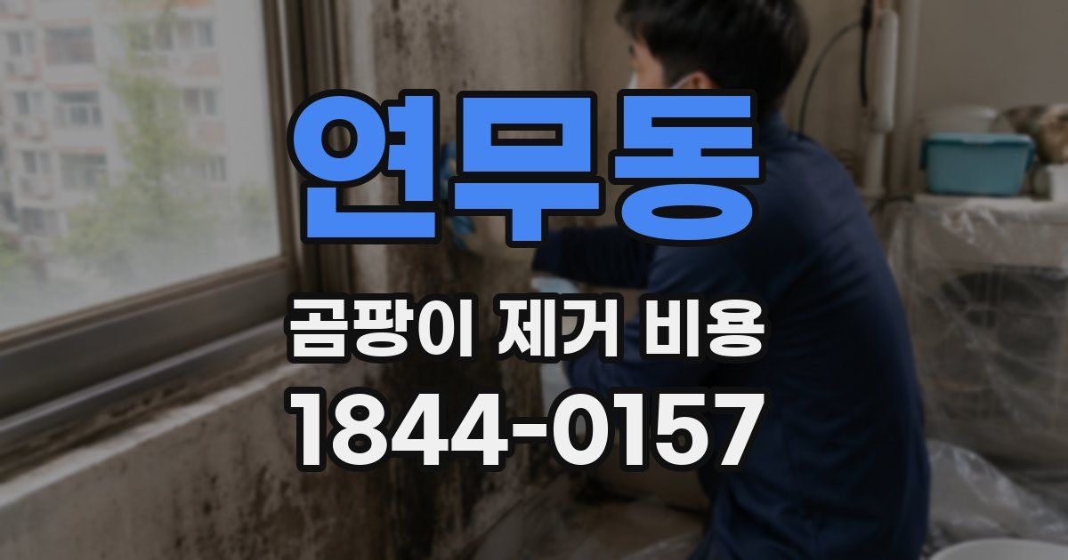 연무동 곰팡이 제거 비용