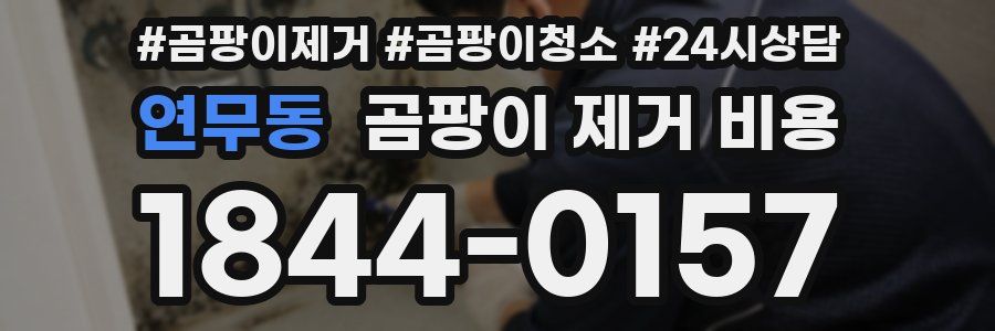 연무동 곰팡이 제거 비용