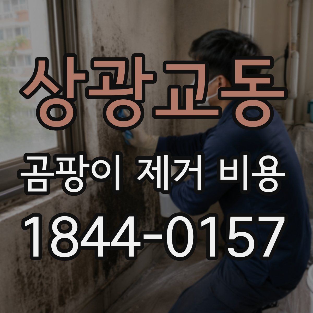 상광교동 곰팡이 제거 비용 방수 보수와 청소를 나눠 보는 견적 차이