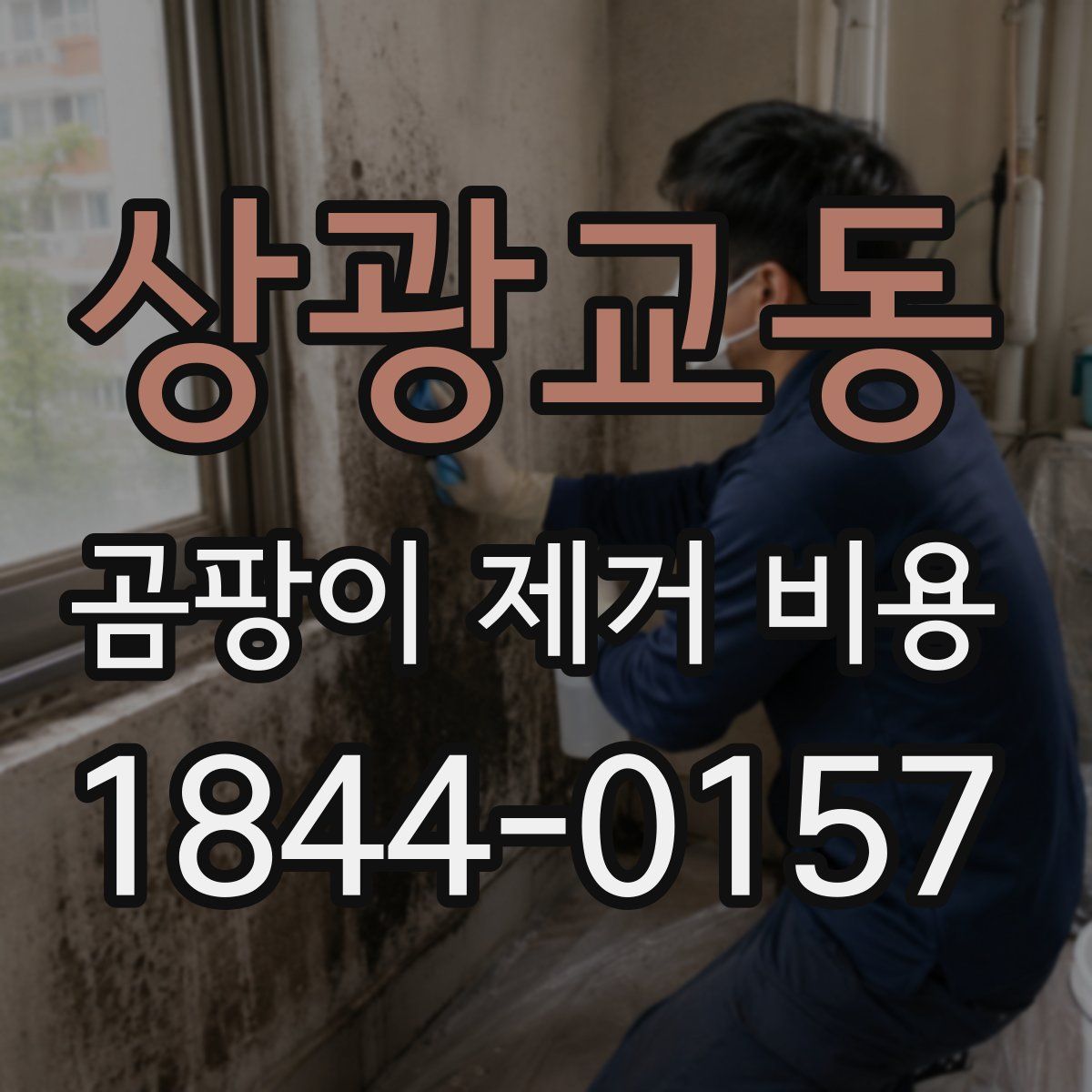 상광교동 곰팡이 제거 비용
