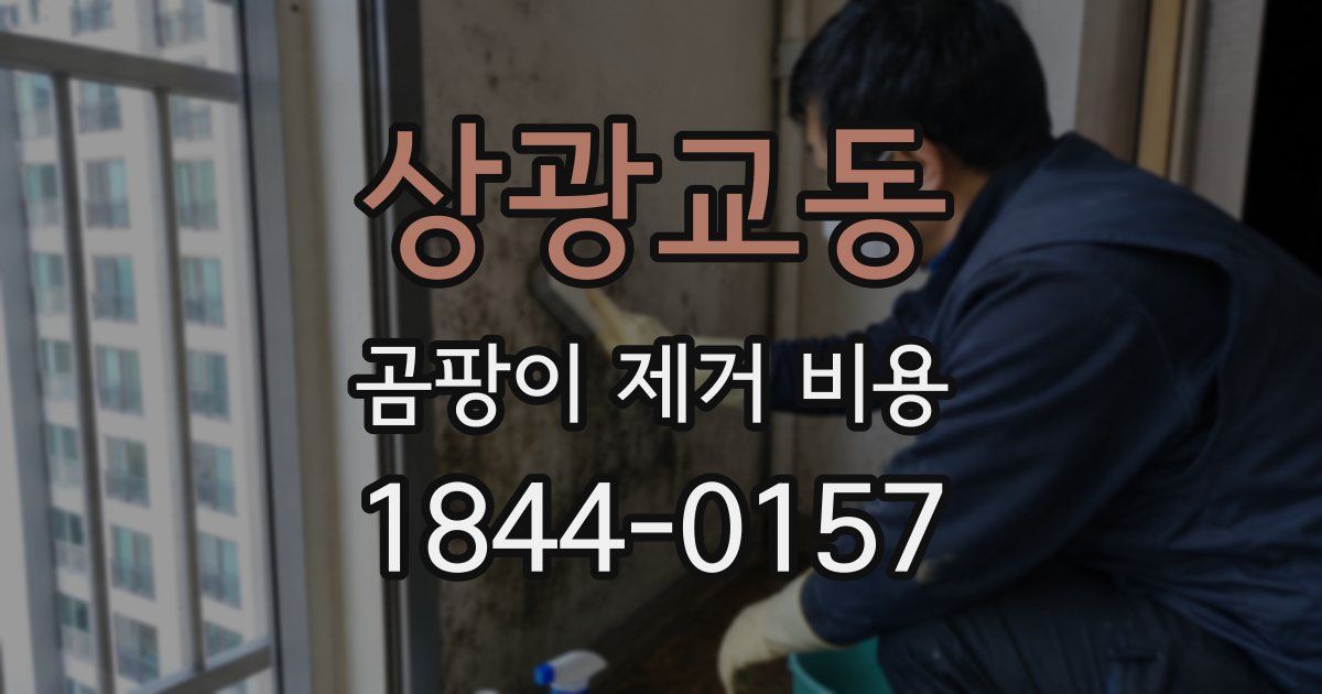 상광교동 곰팡이 제거 비용