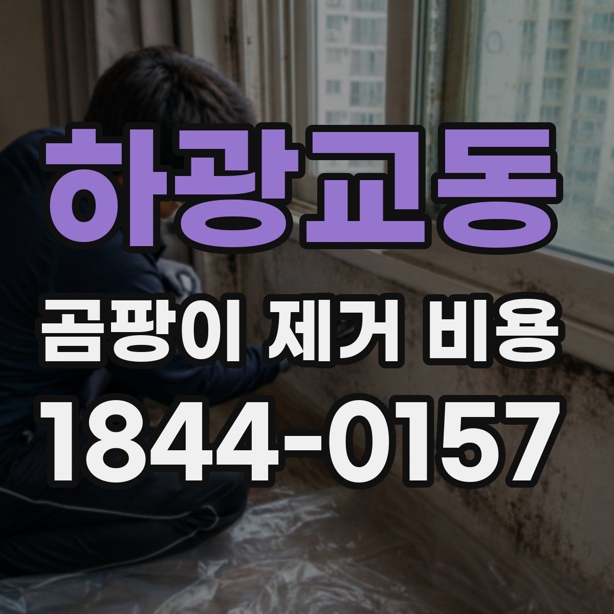 하광교동 곰팡이 제거 비용 재발 방지 포함 견적은 무엇을 보나