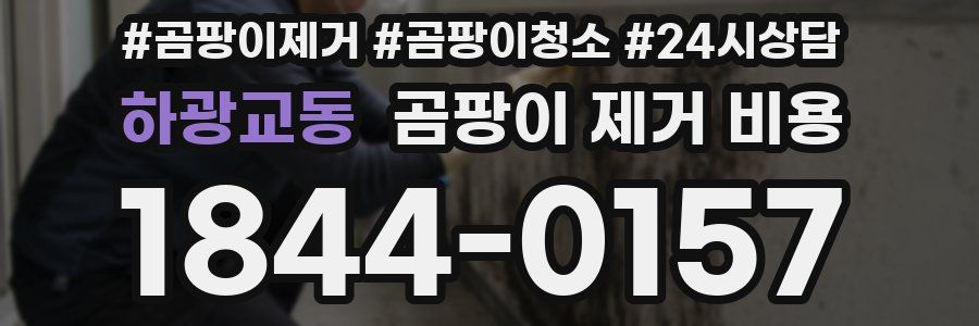 하광교동 곰팡이 제거 비용